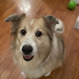 Meet your Posher, Max richter